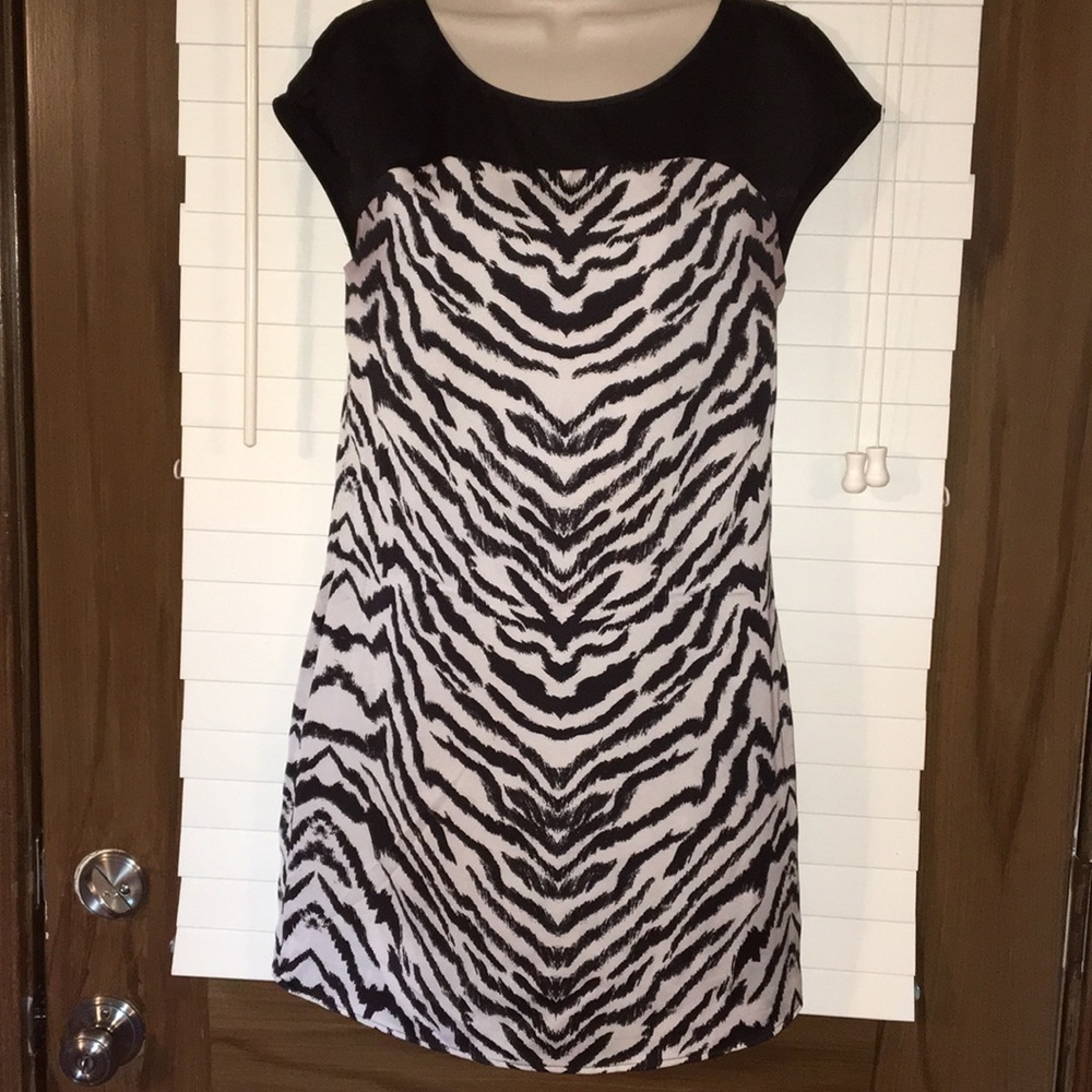Express Dress - Picture 1 of 6